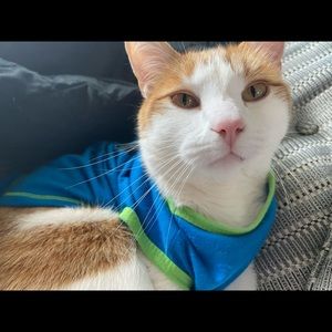 Meet your Posher, Nancy